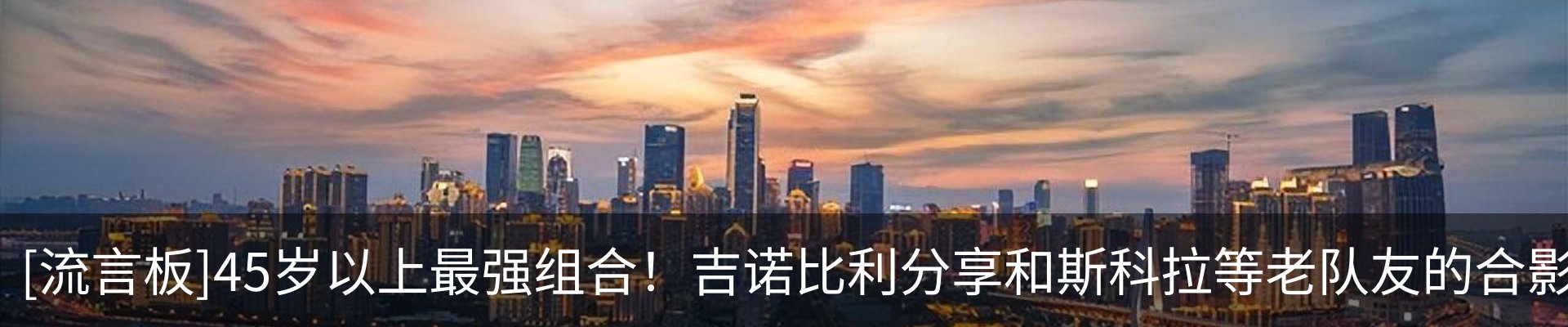 最新动态